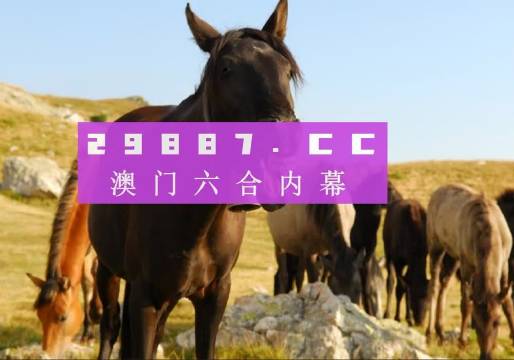 2025新澳内部爆料最新消息和澳门特期期中期期准,全面释义、重点解读落实与警惕虚假宣传-全面释义、重点解读落实